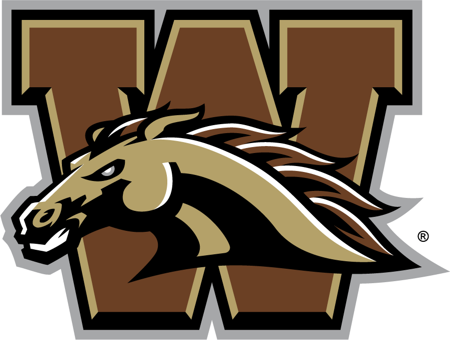 Western Michigan Broncos 2016-2021 Primary Logo diy iron on heat transfer